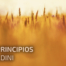 Los_6_principios_de_Cialdini